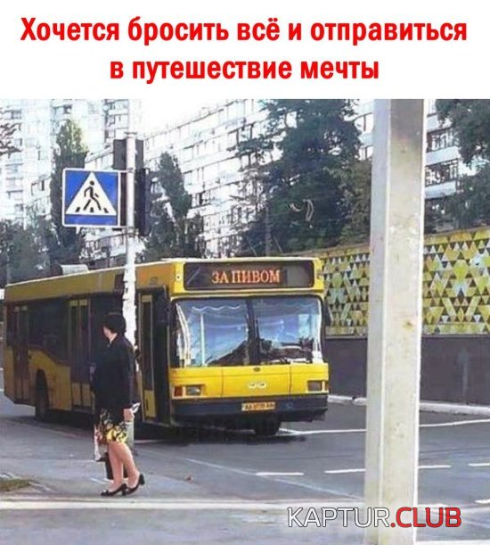 1538570202_dnevnaya_podborka_11.jpg | Рено Каптур Клуб Россия | Форум KAPTUR.SU