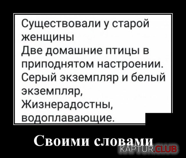 1538655470_demotivatory_28.jpg | Рено Каптур Клуб Россия | Форум KAPTUR.SU