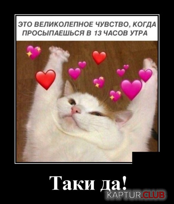 1538655484_demotivatory_18.jpg | Рено Каптур Клуб Россия | Форум KAPTUR.SU