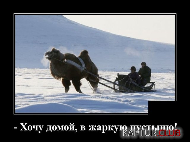1538727365_demotivatory_11.jpg | Рено Каптур Клуб Россия | Форум KAPTUR.SU