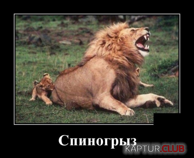 1539246677_demotivatory_19.jpg | Рено Каптур Клуб Россия | Форум KAPTUR.SU