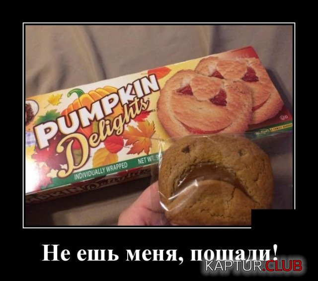 1539772294_demotivatory_25.jpg | Рено Каптур Клуб Россия | Форум KAPTUR.SU