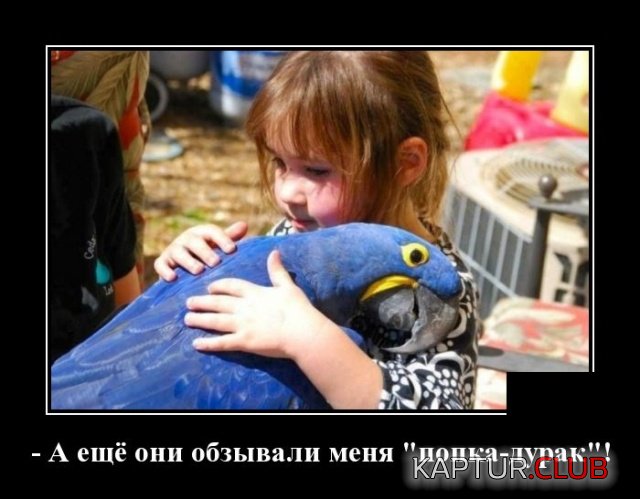 1540122946_demotivatory_12.jpg | Рено Каптур Клуб Россия | Форум KAPTUR.SU
