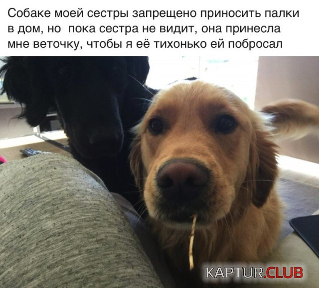 1540122977_podborka_dnevnaya_12.jpg | Рено Каптур Клуб Россия | Форум KAPTUR.SU