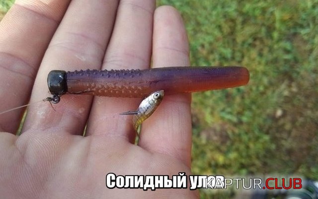 1540125427_podborka_dnevnaya_01.jpg | Рено Каптур Клуб Россия | Форум KAPTUR.SU