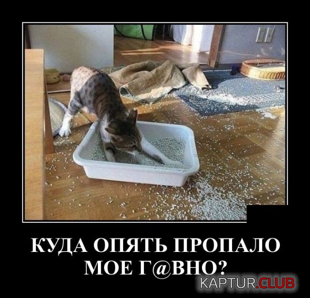 1540127939_demotivatory_19.jpg | Рено Каптур Клуб Россия | Форум KAPTUR.SU