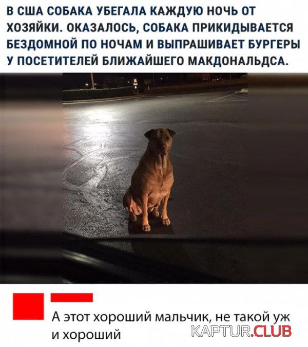 1540627099_kartinki_14.jpg | Рено Каптур Клуб Россия | Форум KAPTUR.SU