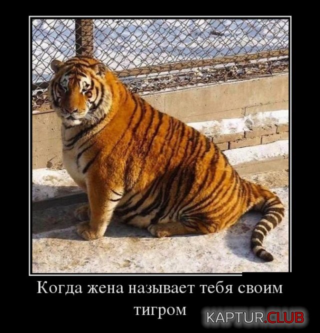 1540987578_demotivatory_17.jpg | Рено Каптур Клуб Россия | Форум KAPTUR.SU
