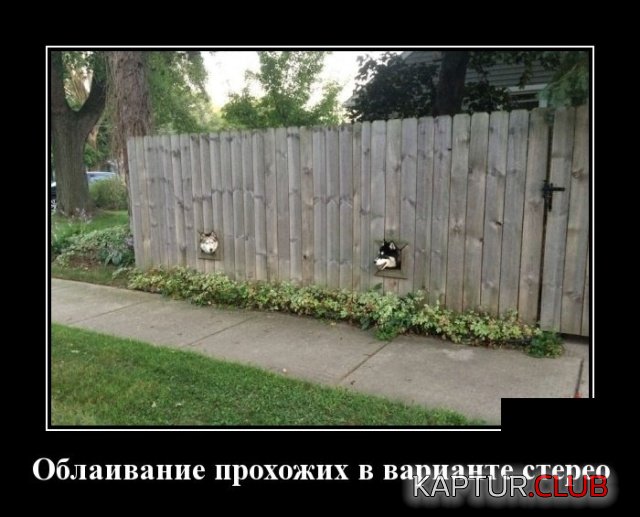 1541587024_demotivatory_29.jpg | Рено Каптур Клуб Россия | Форум KAPTUR.SU