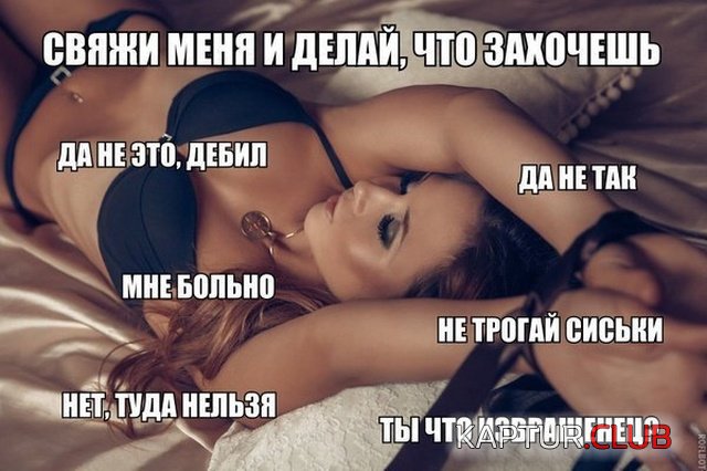 1541662686_podborka_dnevnaya_20.jpg | Рено Каптур Клуб Россия | Форум KAPTUR.SU