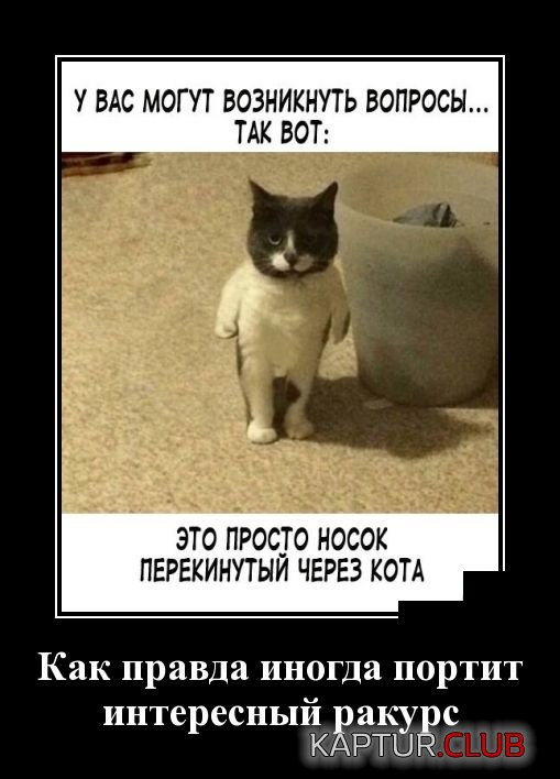 1541664455_demotivatory_23.jpg | Рено Каптур Клуб Россия | Форум KAPTUR.SU