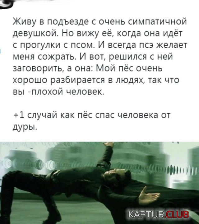 1542011561_podb_25.jpg | Рено Каптур Клуб Россия | Форум KAPTUR.SU