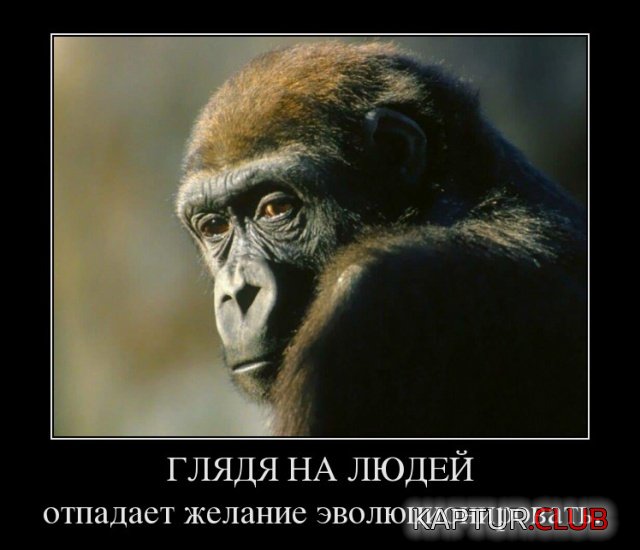 1542012899_demotivatory_14.jpg | Рено Каптур Клуб Россия | Форум KAPTUR.SU