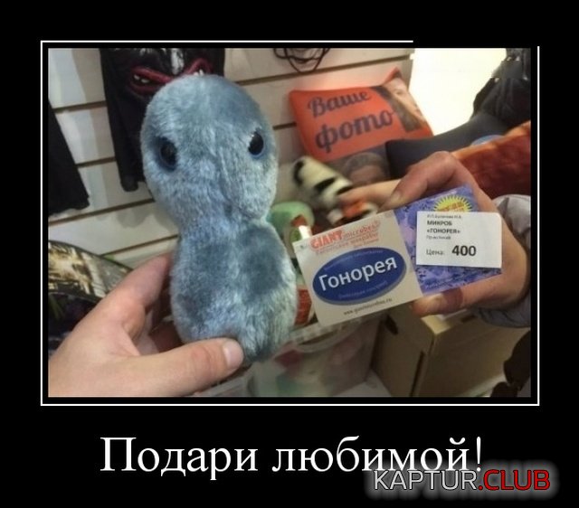 1542199345_demotivatory_30.jpg | Рено Каптур Клуб Россия | Форум KAPTUR.SU
