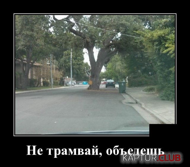1542199382_demotivatory_22.jpg | Рено Каптур Клуб Россия | Форум KAPTUR.SU