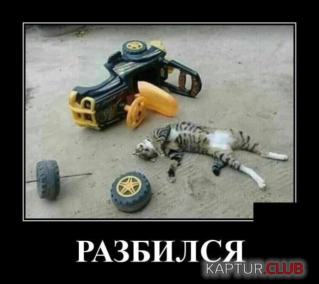 1542612023_demotivatory_21.jpg | Рено Каптур Клуб Россия | Форум KAPTUR.SU