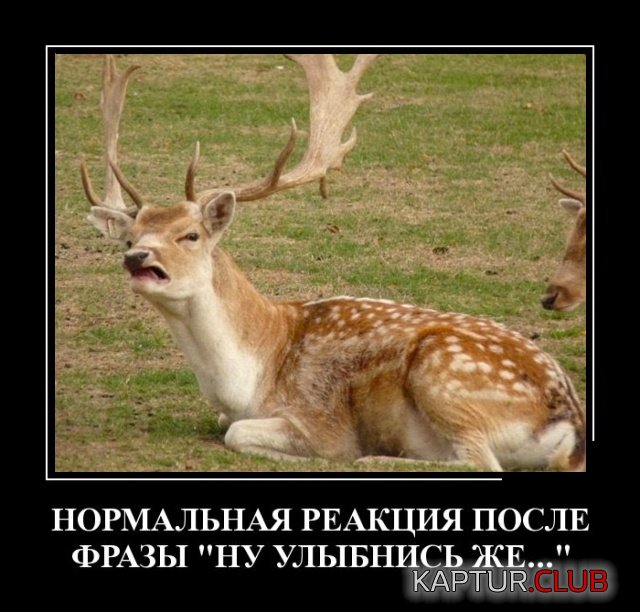 1542612103_demotivatory_00.jpg | Рено Каптур Клуб Россия | Форум KAPTUR.SU