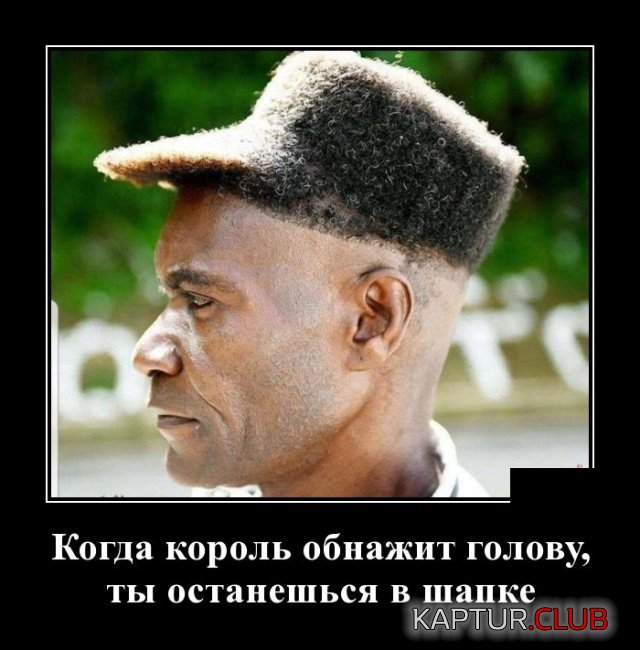1542619509_demotivatory_09.jpg | Рено Каптур Клуб Россия | Форум KAPTUR.SU