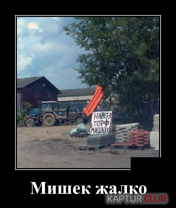 1542619526_demotivatory_27.jpg | Рено Каптур Клуб Россия | Форум KAPTUR.SU