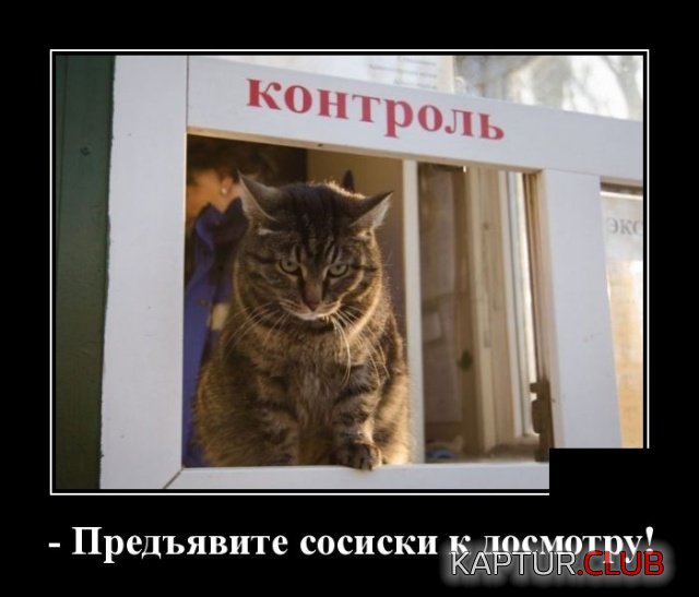 1542619535_demotivatory_01.jpg | Рено Каптур Клуб Россия | Форум KAPTUR.SU