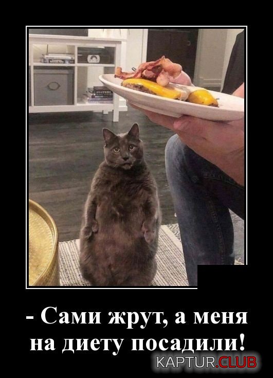 1542619542_demotivatory_24.jpg | Рено Каптур Клуб Россия | Форум KAPTUR.SU