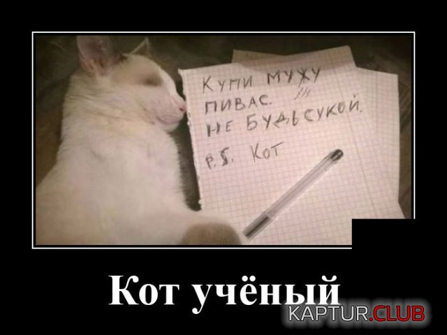 1542619571_demotivatory_29.jpg | Рено Каптур Клуб Россия | Форум KAPTUR.SU
