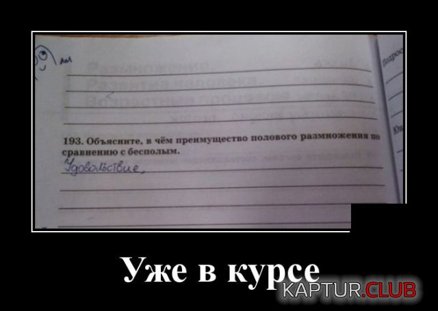 1542619576_demotivatory_17.jpg | Рено Каптур Клуб Россия | Форум KAPTUR.SU