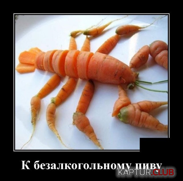 1542619582_demotivatory_25.jpg | Рено Каптур Клуб Россия | Форум KAPTUR.SU