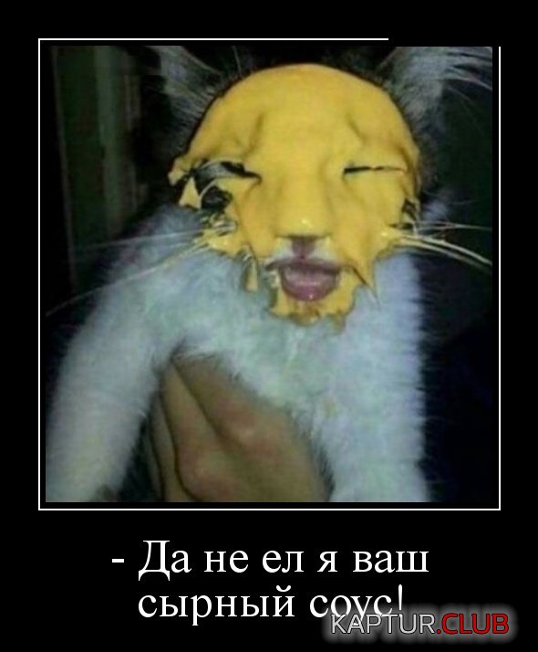 1542872531_demotivatory_26.jpg | Рено Каптур Клуб Россия | Форум KAPTUR.SU