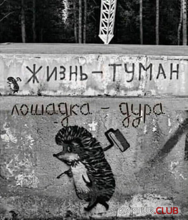 1542873517_podborka_dnevnaya_11.jpg | Рено Каптур Клуб Россия | Форум KAPTUR.SU