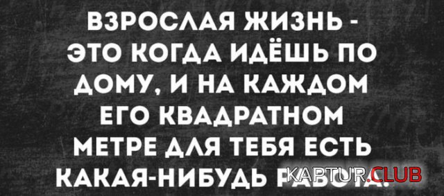 1543151346_podborka_dnevnaya_05.jpg | Рено Каптур Клуб Россия | Форум KAPTUR.SU