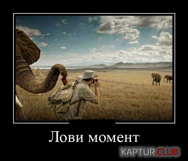 1543391983_demotivatory_12.jpg | Рено Каптур Клуб Россия | Форум KAPTUR.SU