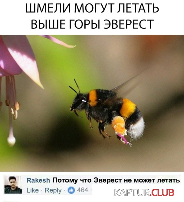 1543392145_podborka_vecher_09.jpg | Рено Каптур Клуб Россия | Форум KAPTUR.SU