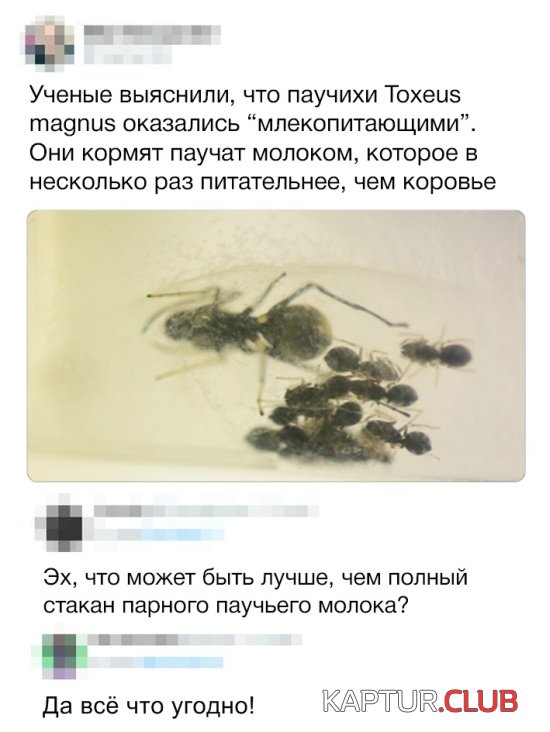 1543655414_kartinki_05.jpg | Рено Каптур Клуб Россия | Форум KAPTUR.SU