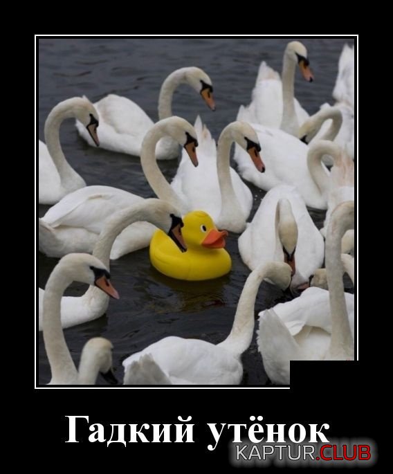 1543824664_demotivatory_11.jpg | Рено Каптур Клуб Россия | Форум KAPTUR.SU