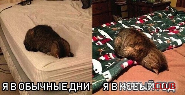 1543827573_1543074198_kartinki_12.jpg | Рено Каптур Клуб Россия | Форум KAPTUR.SU