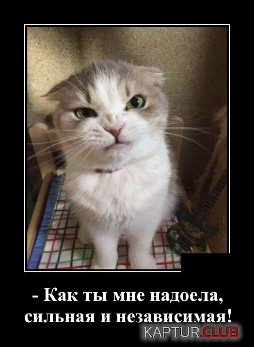 1543829473_demotivatory_16.jpg | Рено Каптур Клуб Россия | Форум KAPTUR.SU