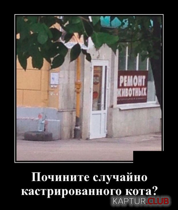 1543829535_demotivatory_17.jpg | Рено Каптур Клуб Россия | Форум KAPTUR.SU