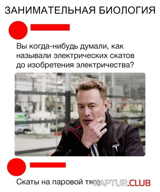 1544345478_kartinki_05.jpg | Рено Каптур Клуб Россия | Форум KAPTUR.SU