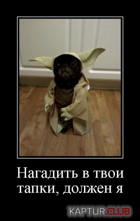 1544496845_demotivatory_19.jpg | Рено Каптур Клуб Россия | Форум KAPTUR.SU