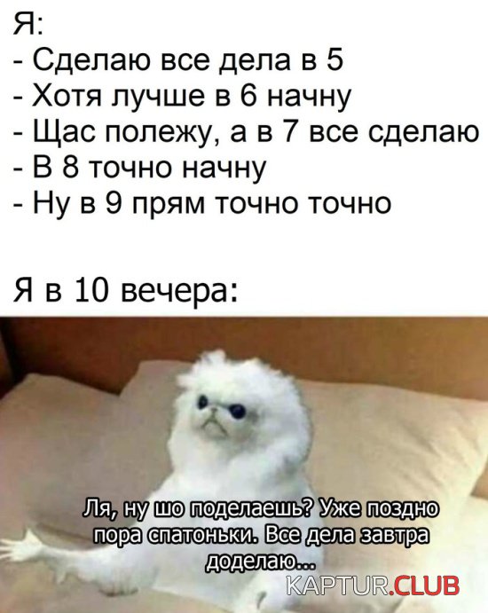 1544952292_kartinki_04.jpg | Рено Каптур Клуб Россия | Форум KAPTUR.SU