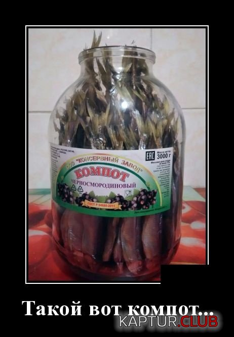 1545208920_demotivatory_23.jpg | Рено Каптур Клуб Россия | Форум KAPTUR.SU