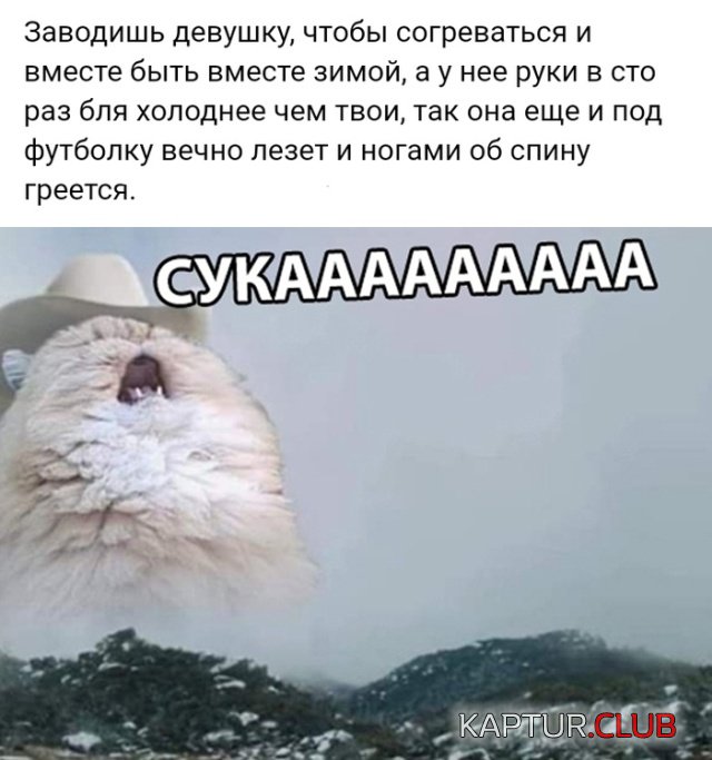 1545214763_podborka_dnevnaya_14.jpg | Рено Каптур Клуб Россия | Форум KAPTUR.SU