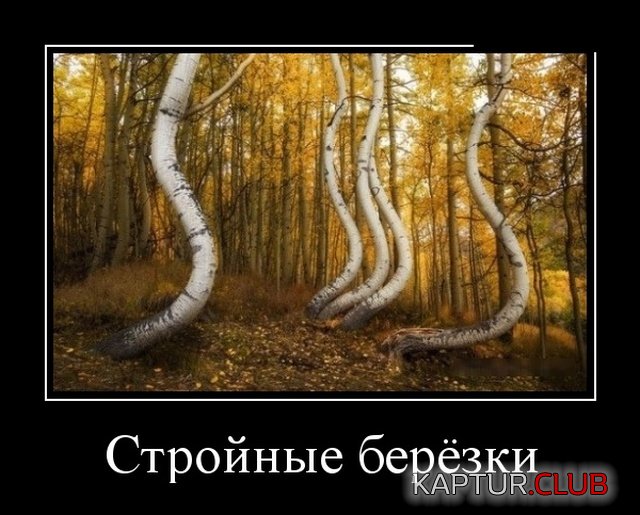 1545899734_demotivatory_04.jpg | Рено Каптур Клуб Россия | Форум KAPTUR.SU