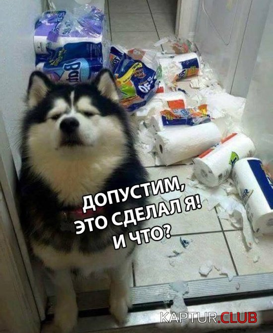 1546071933_kartinki_16.jpg | Рено Каптур Клуб Россия | Форум KAPTUR.SU