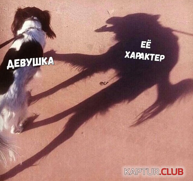 1546636308_kartinki_07.jpg | Рено Каптур Клуб Россия | Форум KAPTUR.SU