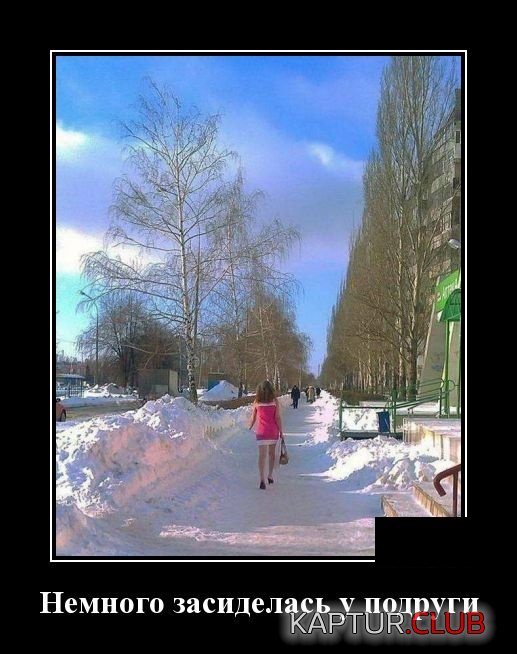 1546868217_demotivatory_29.jpg | Рено Каптур Клуб Россия | Форум KAPTUR.SU
