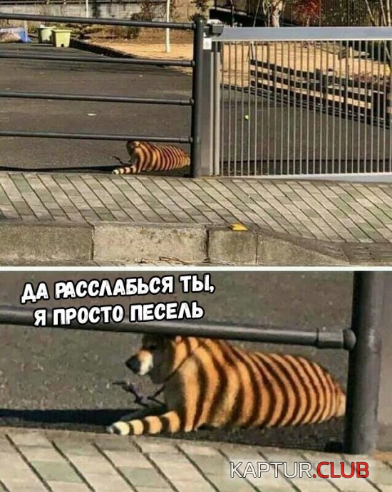 1547335230_podborka_07.jpg | Рено Каптур Клуб Россия | Форум KAPTUR.SU