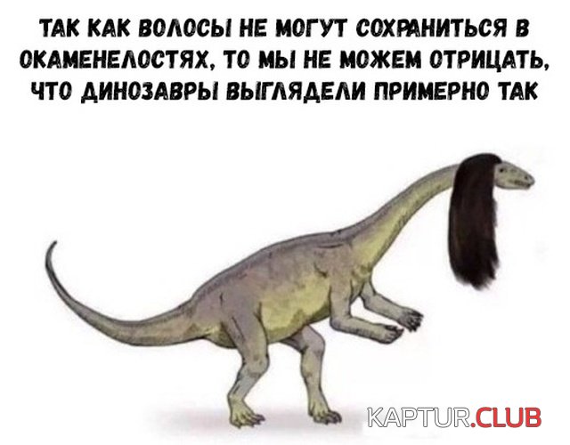 1547335251_podborka_12.jpg | Рено Каптур Клуб Россия | Форум KAPTUR.SU