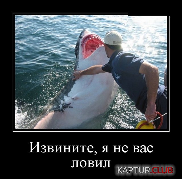 1547709636_demotivatory_08.jpg | Рено Каптур Клуб Россия | Форум KAPTUR.SU